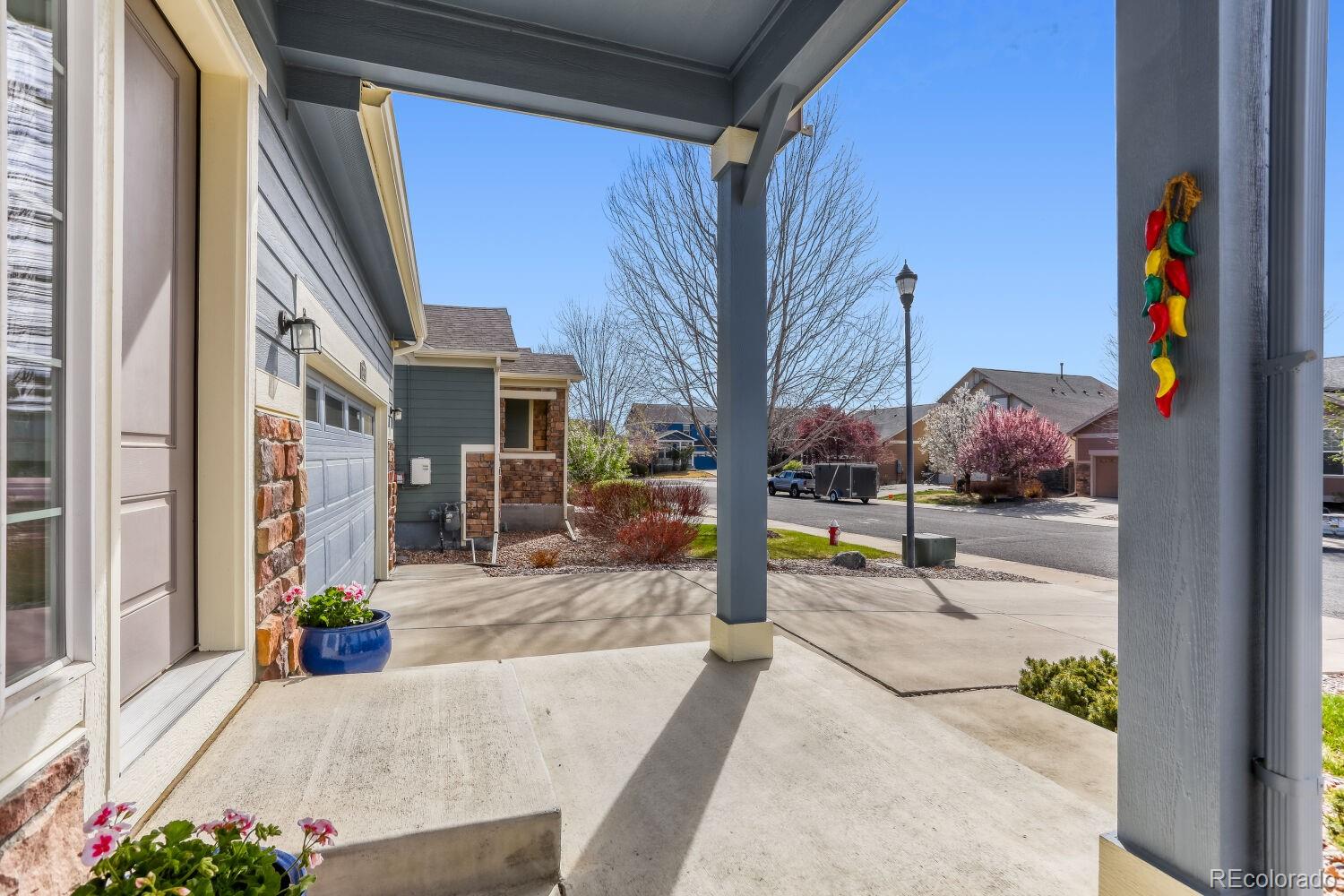 2116 Addie Rose Lane Longmont CO 80501