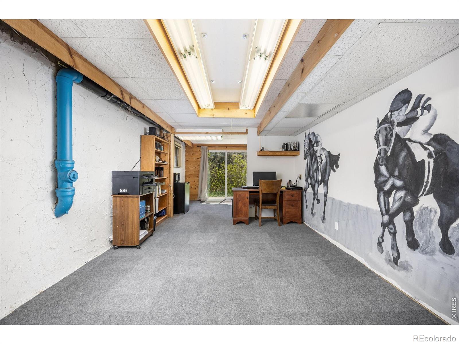 20232 Buckhorn Road Bellvue CO 80512