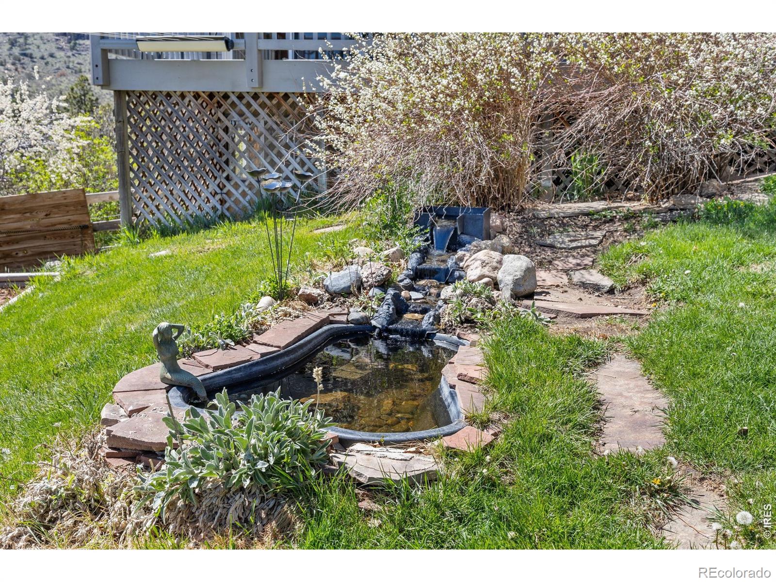 20232 Buckhorn Road Bellvue CO 80512