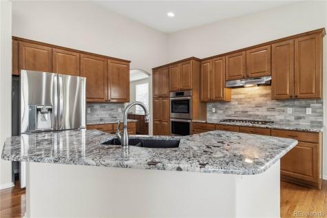 16594 E Black Horn Drive Parker CO 80134