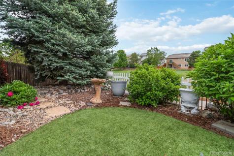 16594 E Black Horn Drive Parker CO 80134