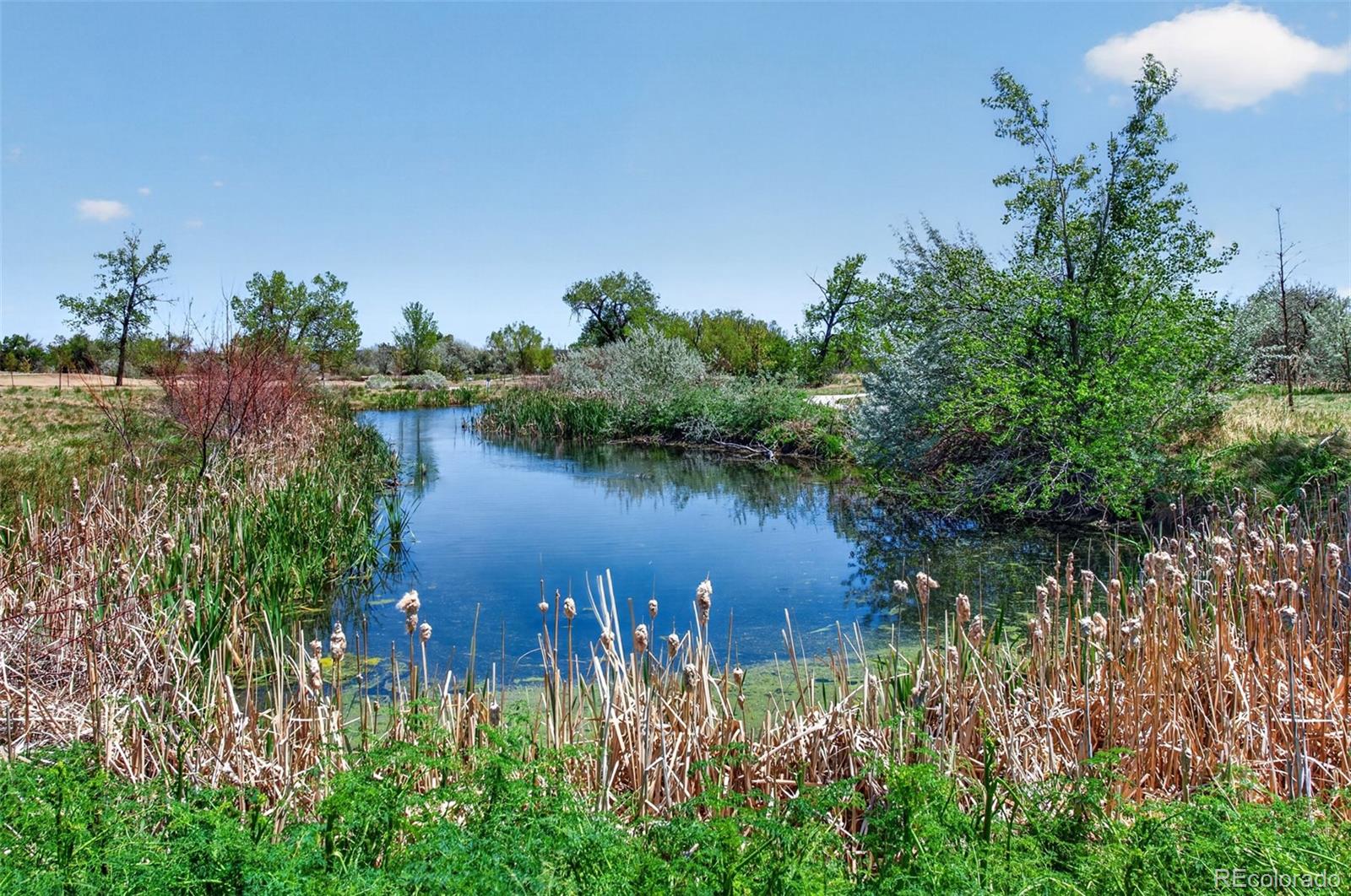 12254 W 56th Place Arvada CO 80002
