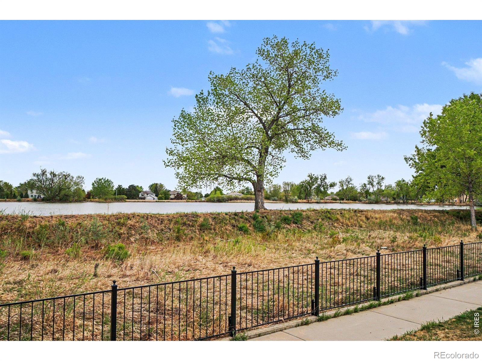2952 Sonata Bay Court Longmont CO 80503