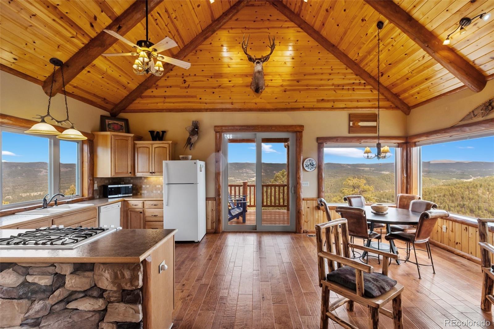 29549 N Highway 67 Woodland Park CO 80863