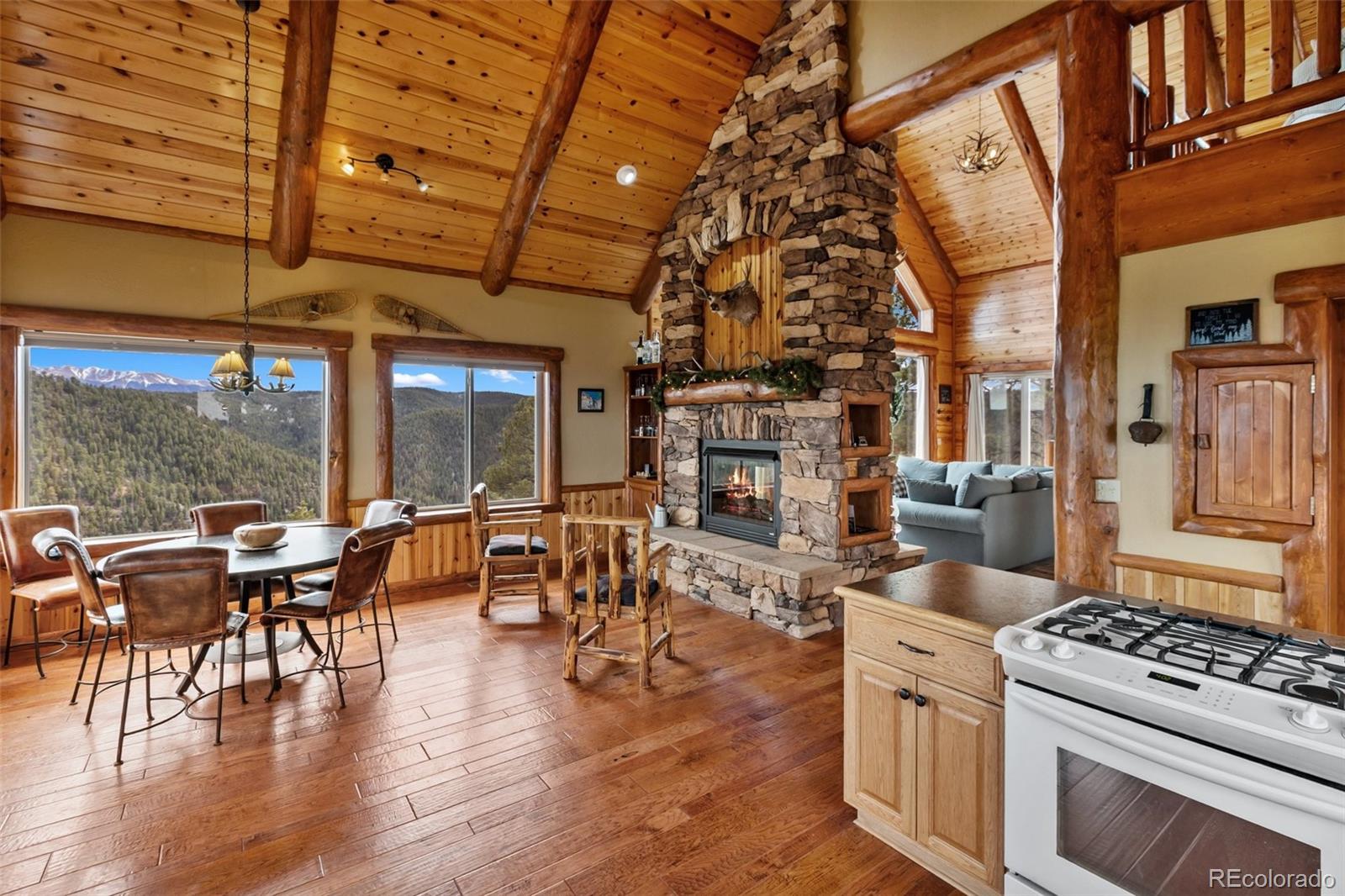 29549 N Highway 67 Woodland Park CO 80863