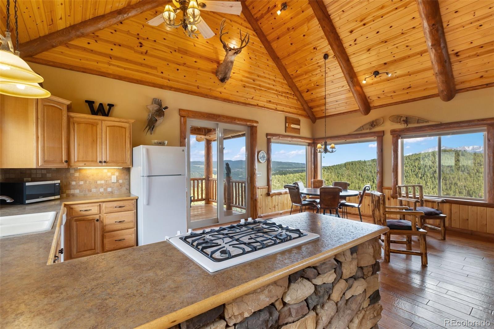 29549 N Highway 67 Woodland Park CO 80863