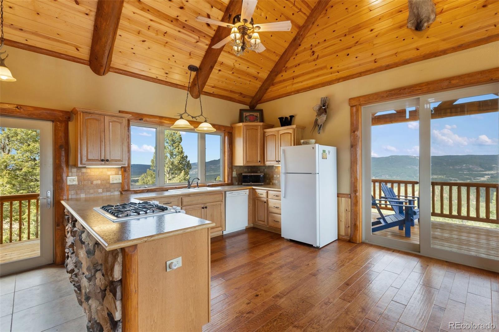 29549 N Highway 67 Woodland Park CO 80863