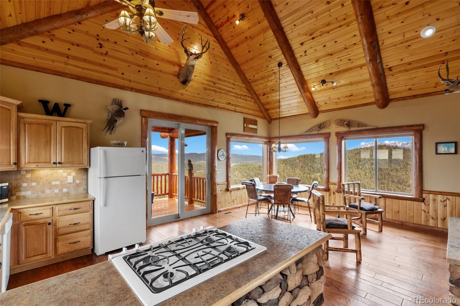 29549 N Highway 67 Woodland Park CO 80863