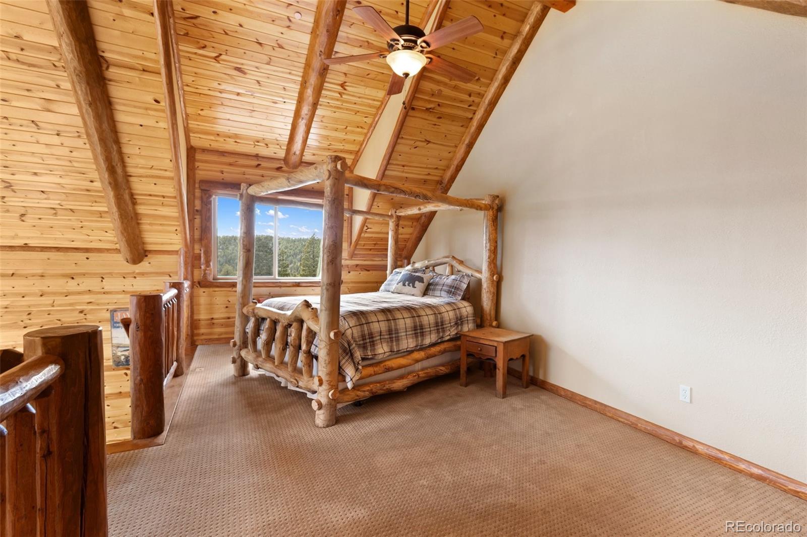 29549 N Highway 67 Woodland Park CO 80863