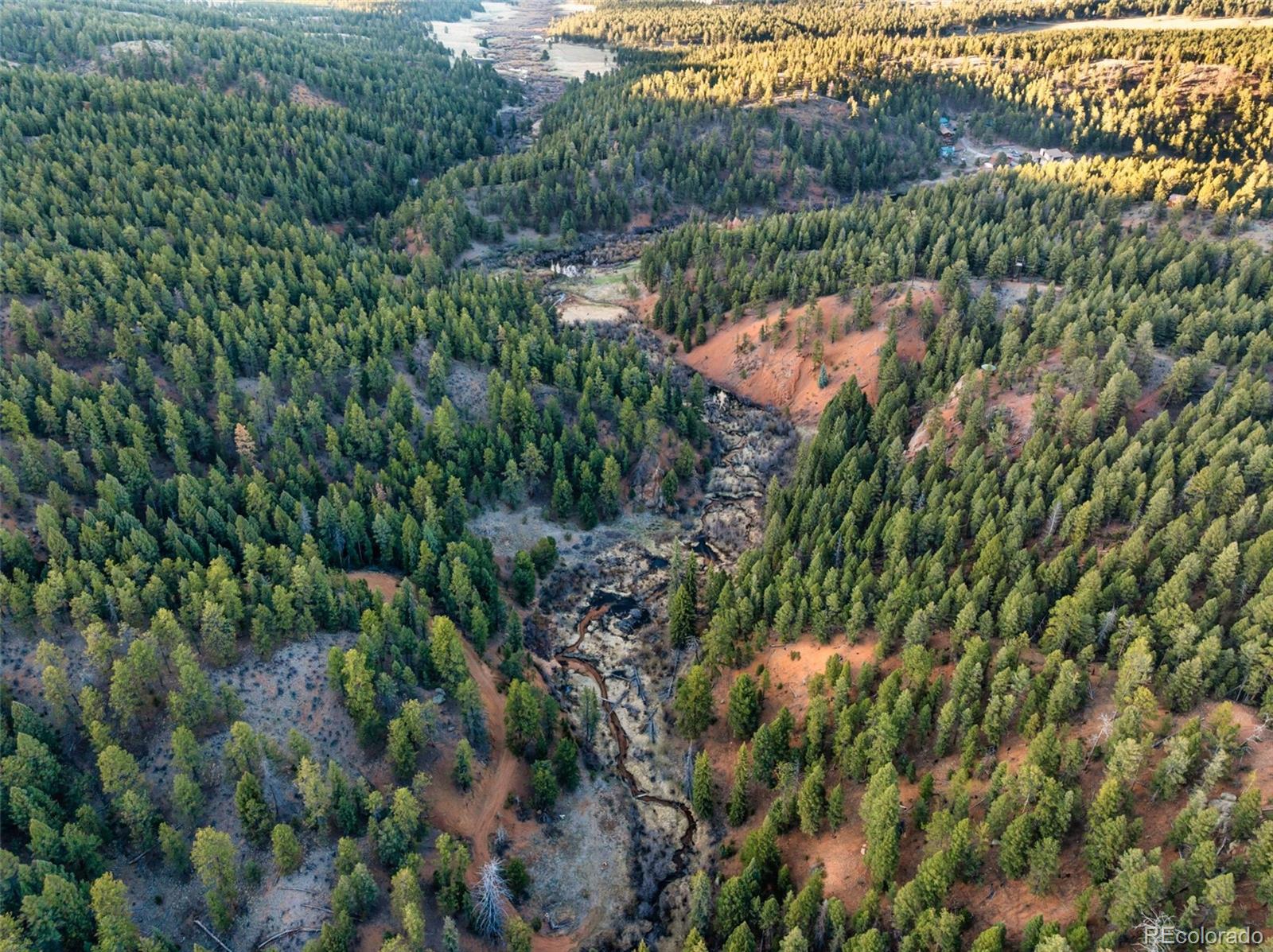 29549 N Highway 67 Woodland Park CO 80863