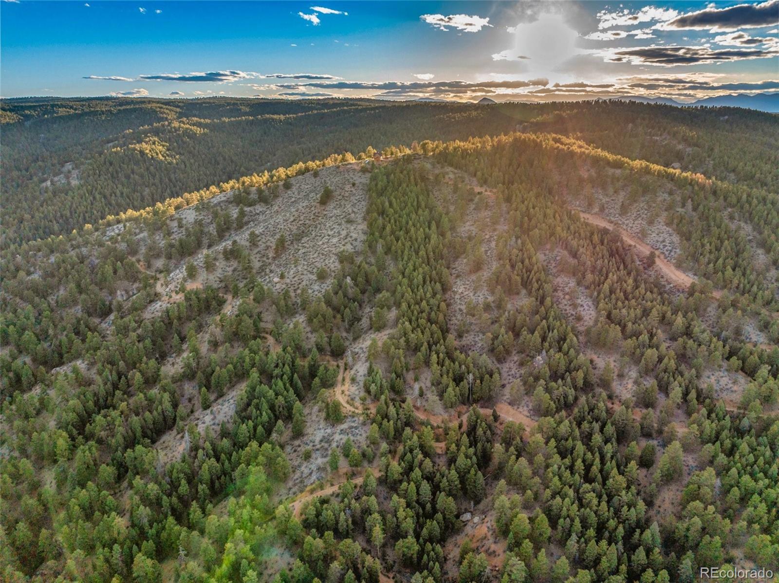 29549 N Highway 67 Woodland Park CO 80863
