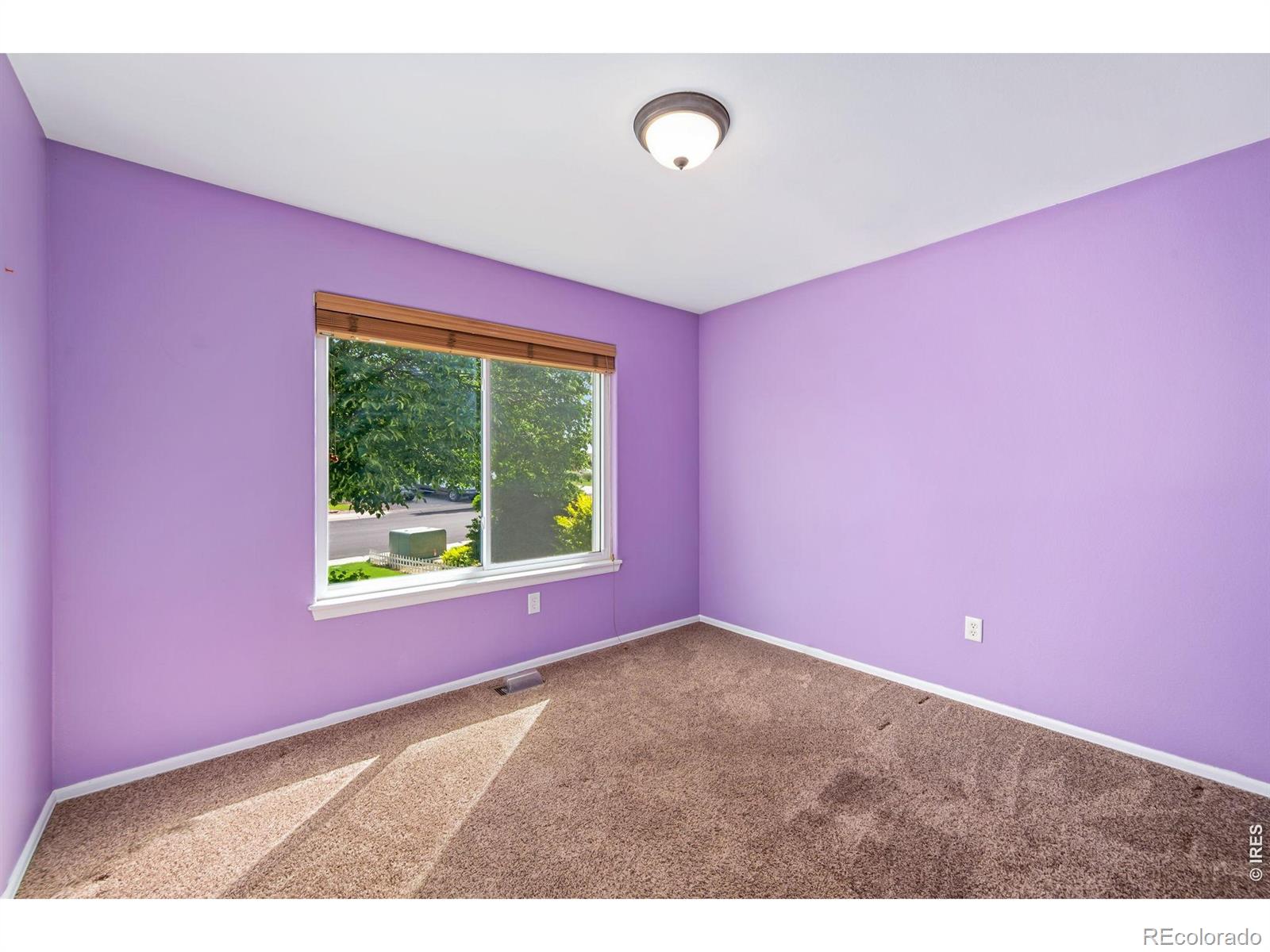 17447 Margil Road Mead CO 80542