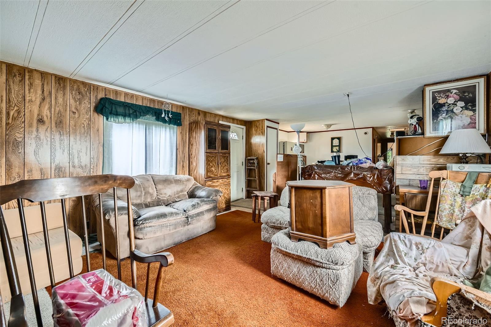 272 Calle Del Sol Florissant CO 80816
