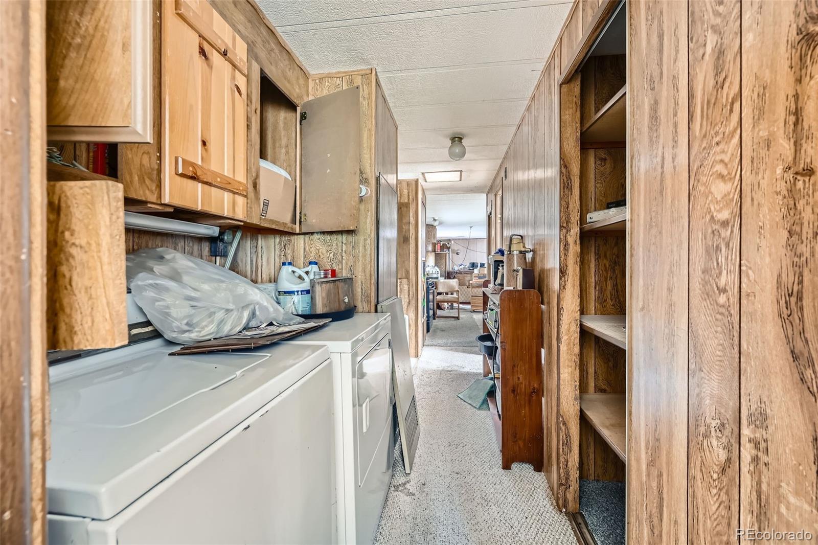 272 Calle Del Sol Florissant CO 80816