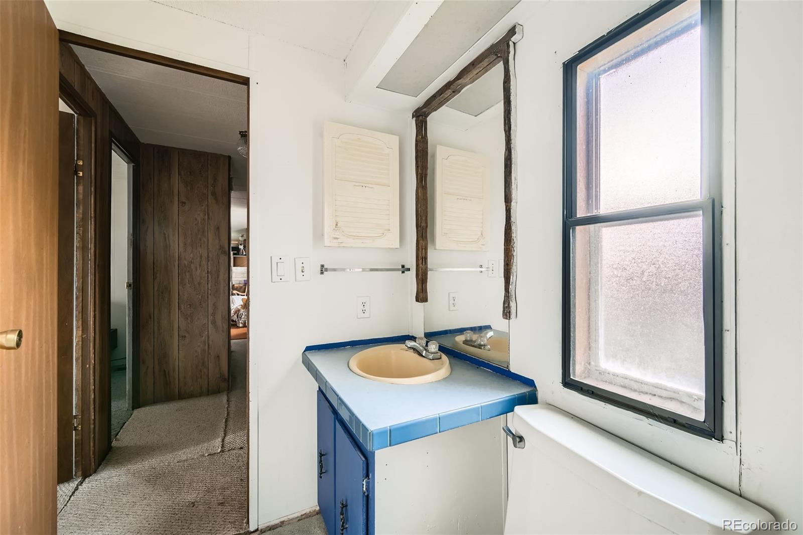 272 Calle Del Sol Florissant CO 80816