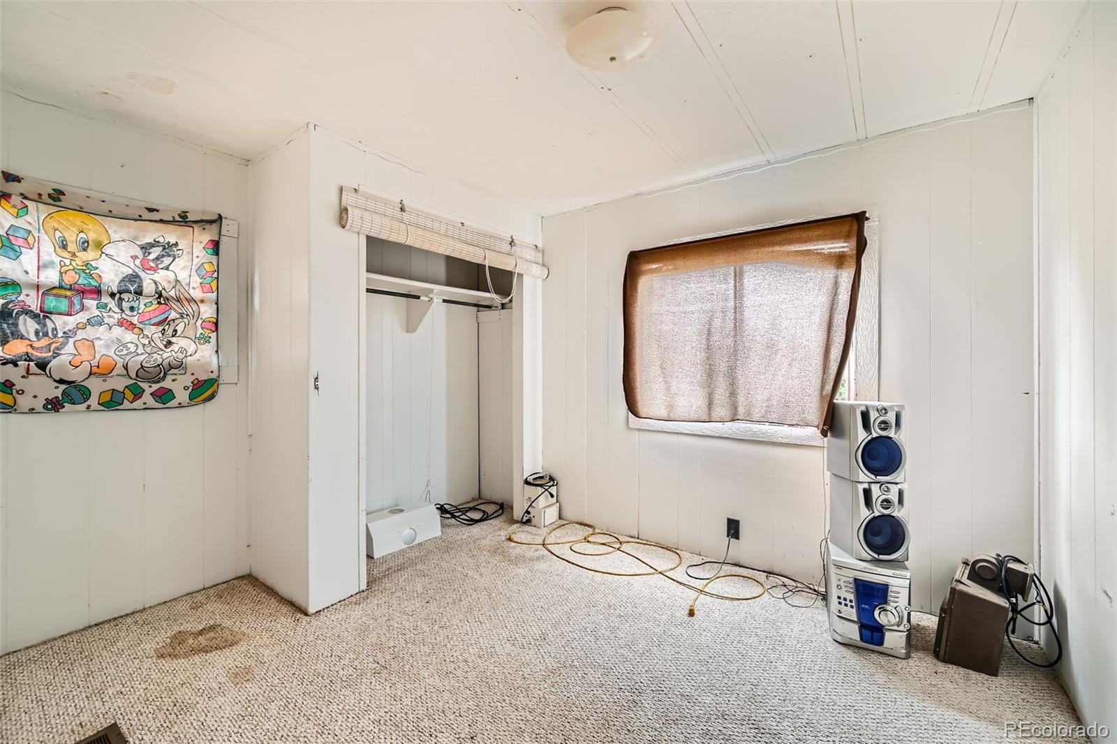 272 Calle Del Sol Florissant CO 80816