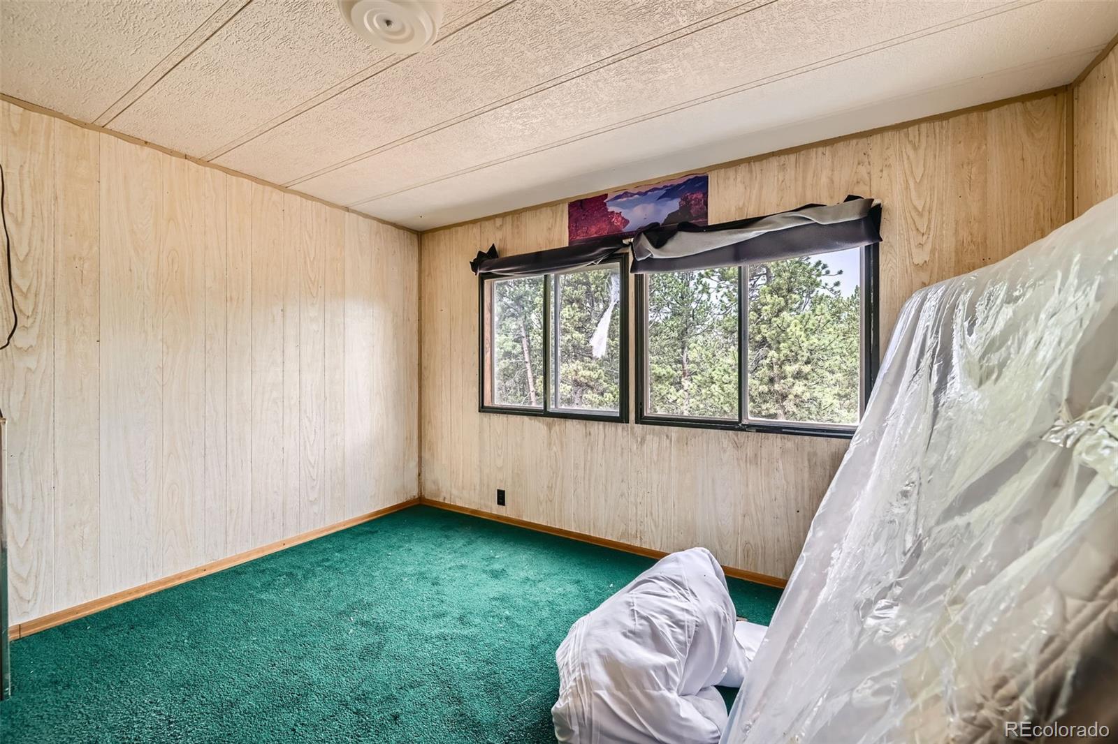 272 Calle Del Sol Florissant CO 80816