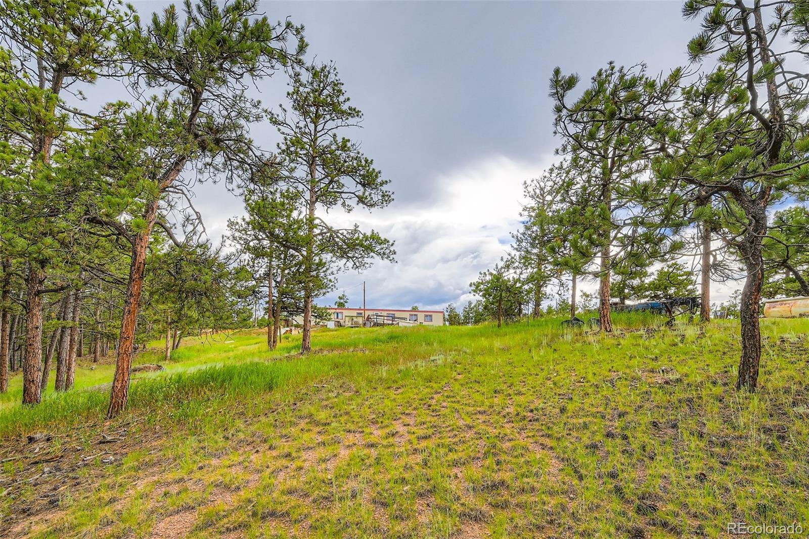 272 Calle Del Sol Florissant CO 80816