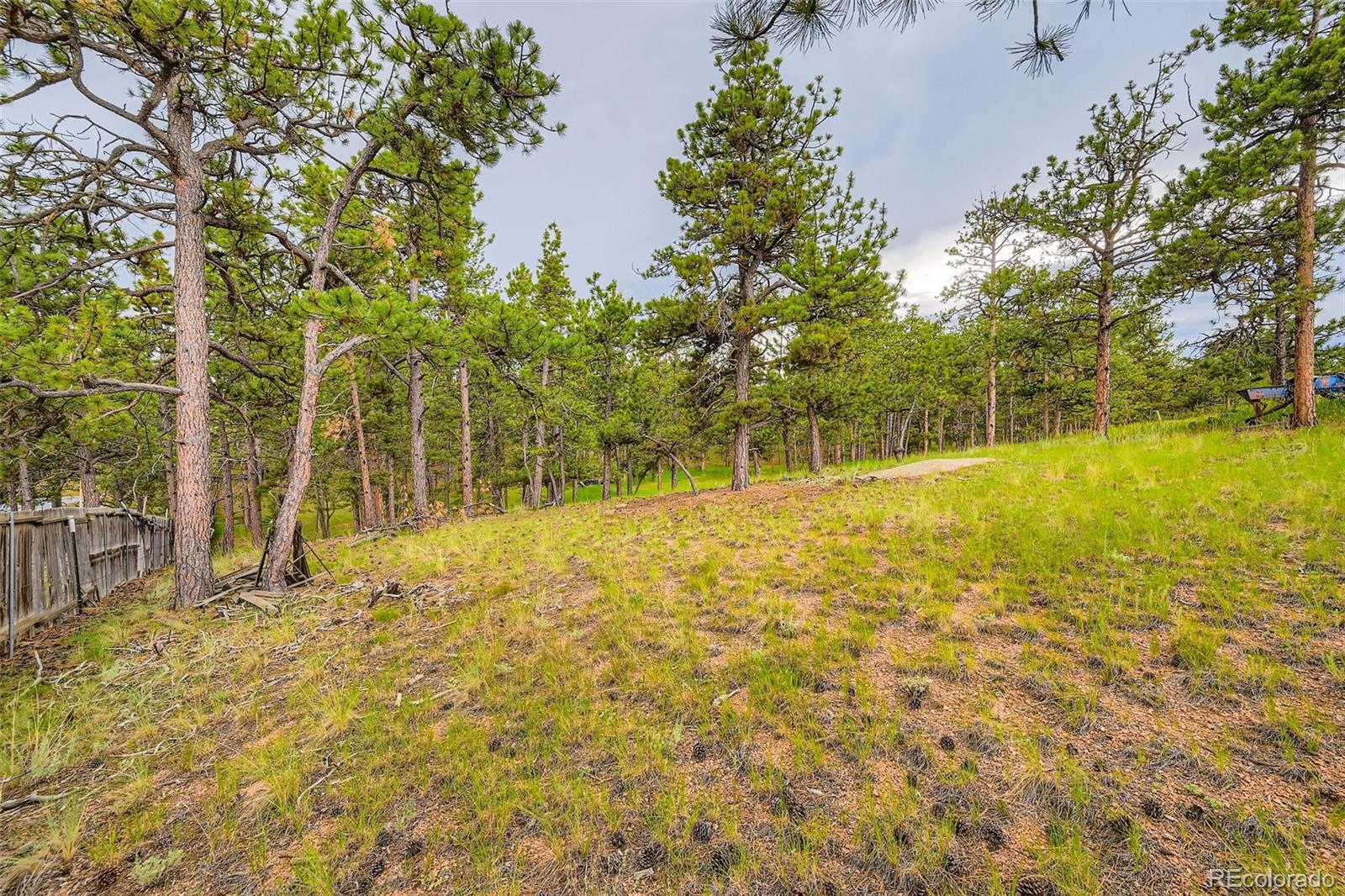 272 Calle Del Sol Florissant CO 80816
