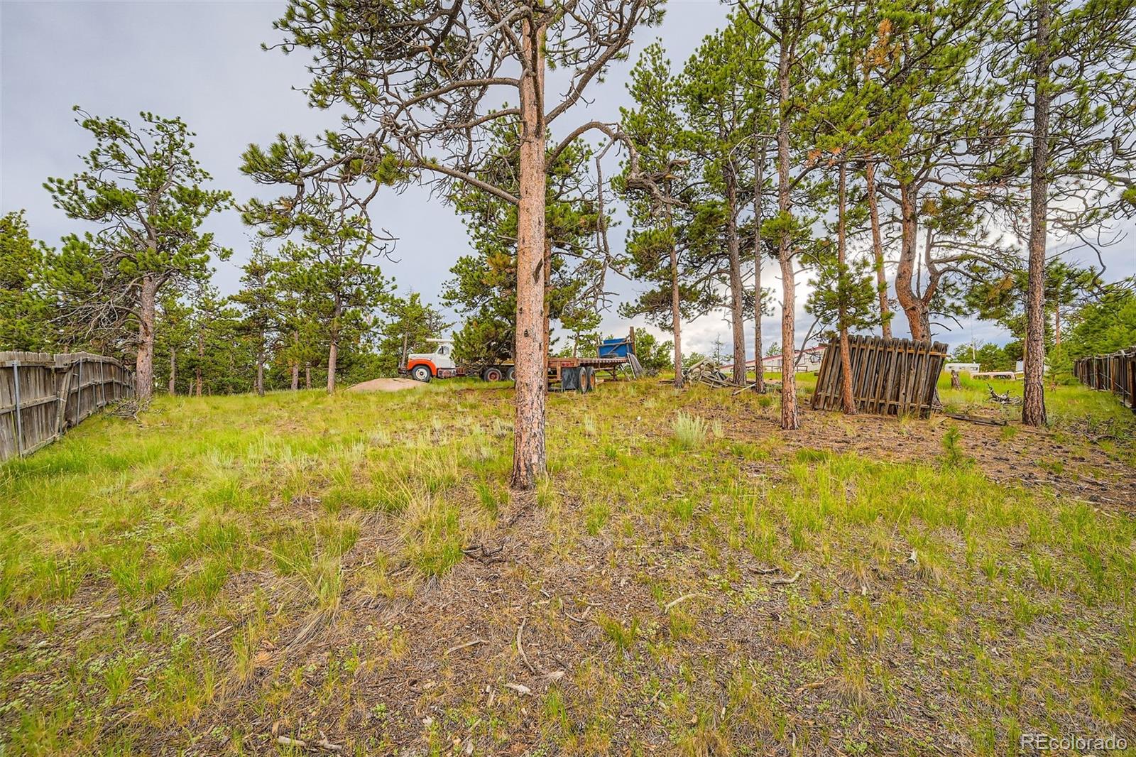 272 Calle Del Sol Florissant CO 80816