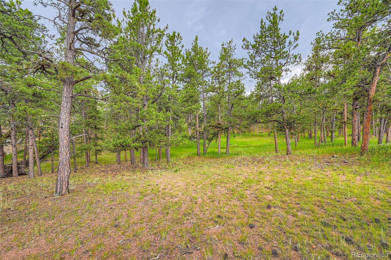 272 Calle Del Sol Florissant CO 80816