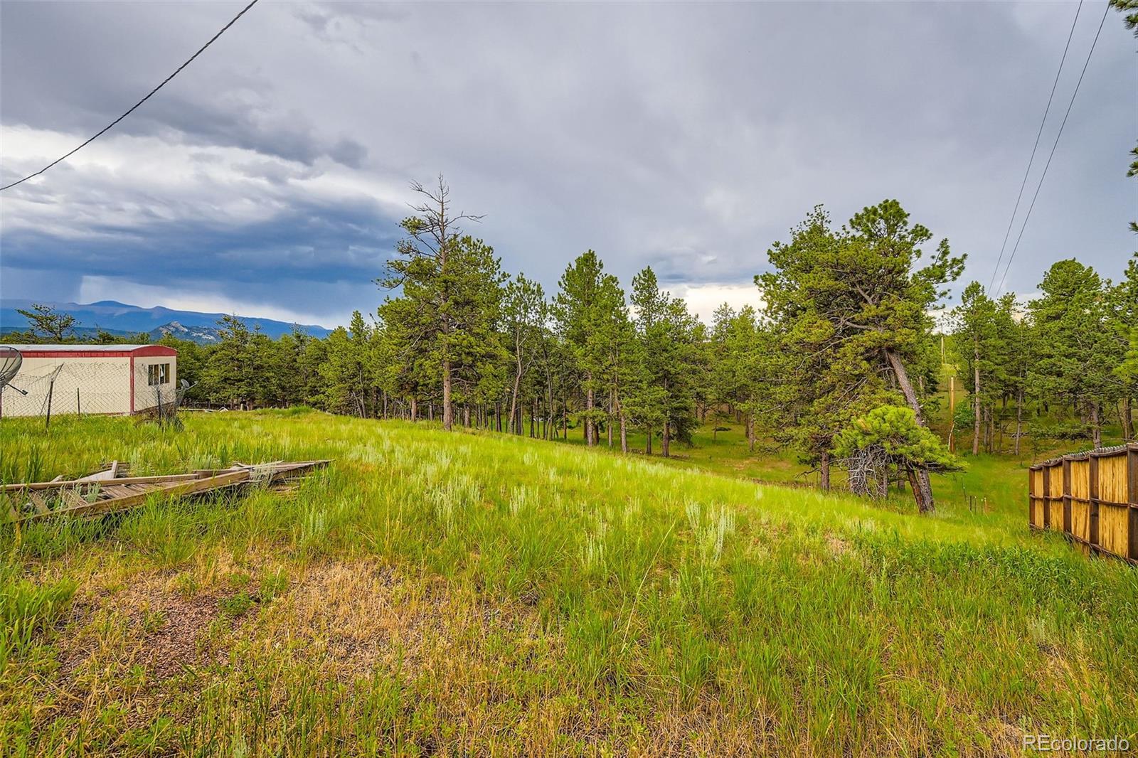 272 Calle Del Sol Florissant CO 80816