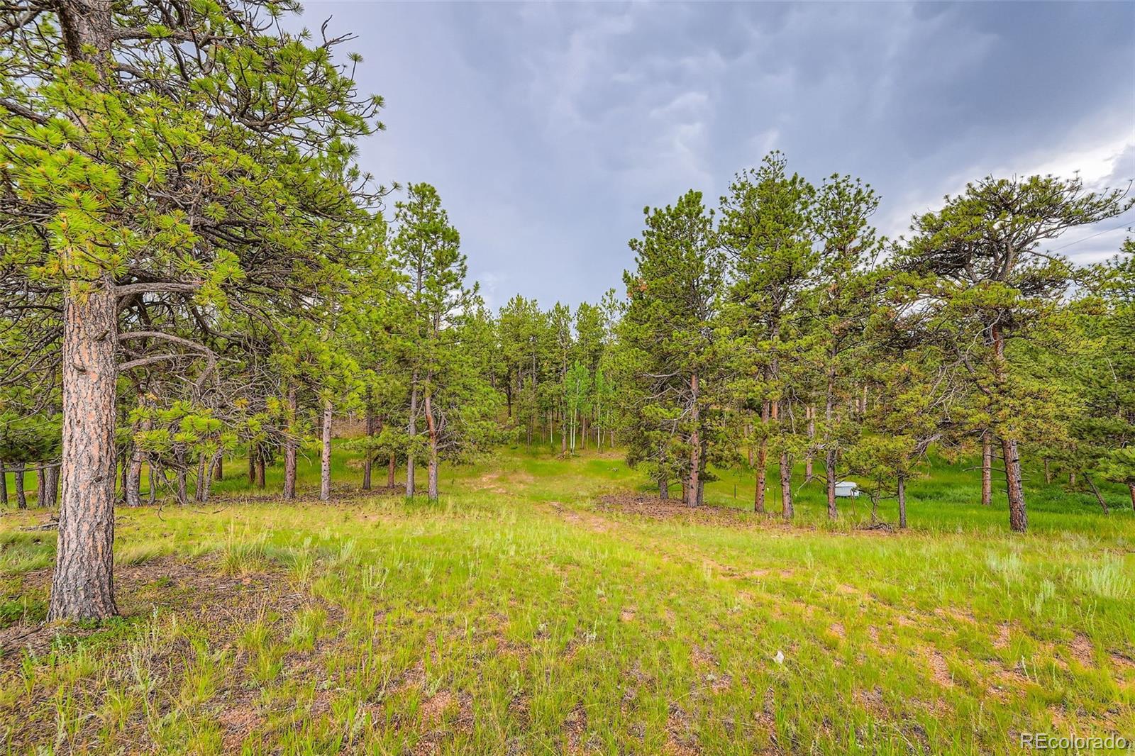 272 Calle Del Sol Florissant CO 80816