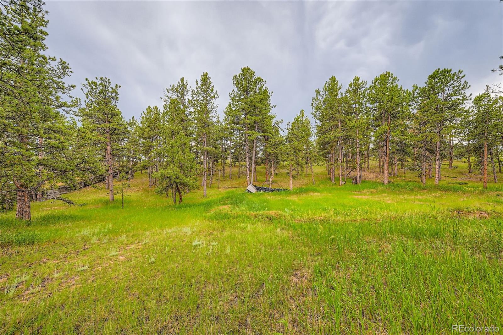 272 Calle Del Sol Florissant CO 80816