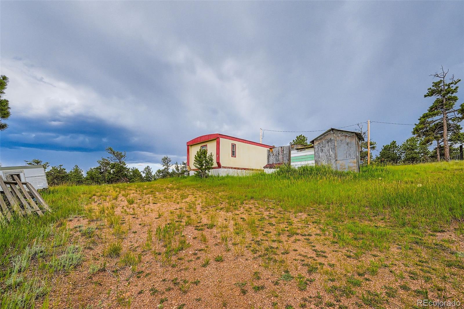 272 Calle Del Sol Florissant CO 80816