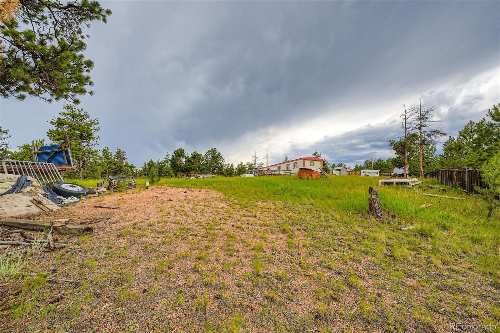 272 Calle Del Sol Florissant CO 80816