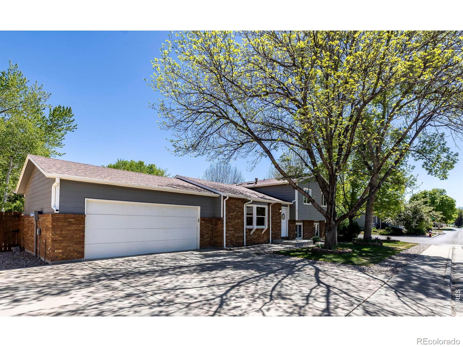 2742 W Redbud Drive Loveland CO 80538