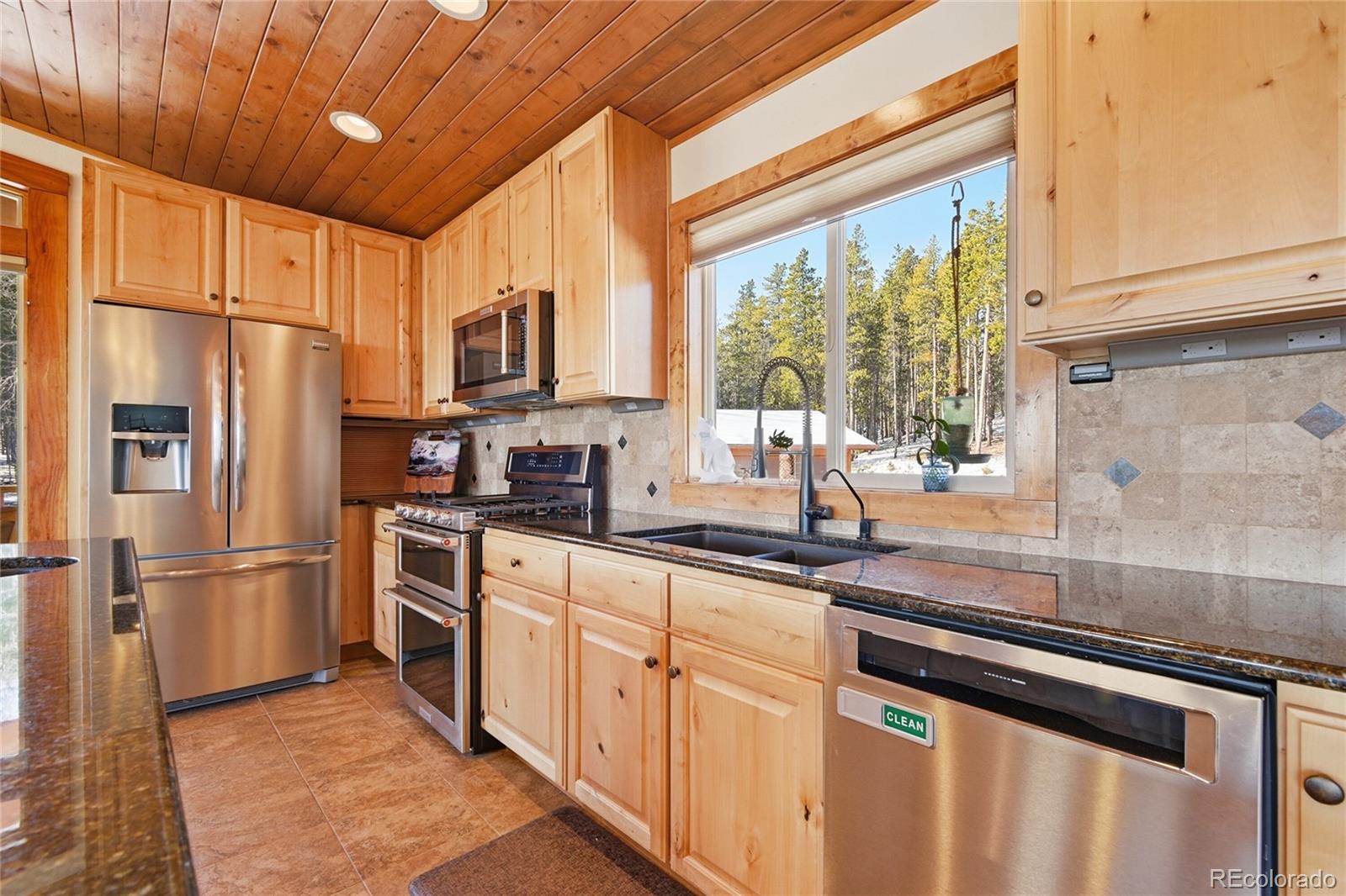 8790 S Warhawk Road Conifer CO 80433