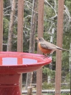 8790 S Warhawk Road Conifer CO 80433