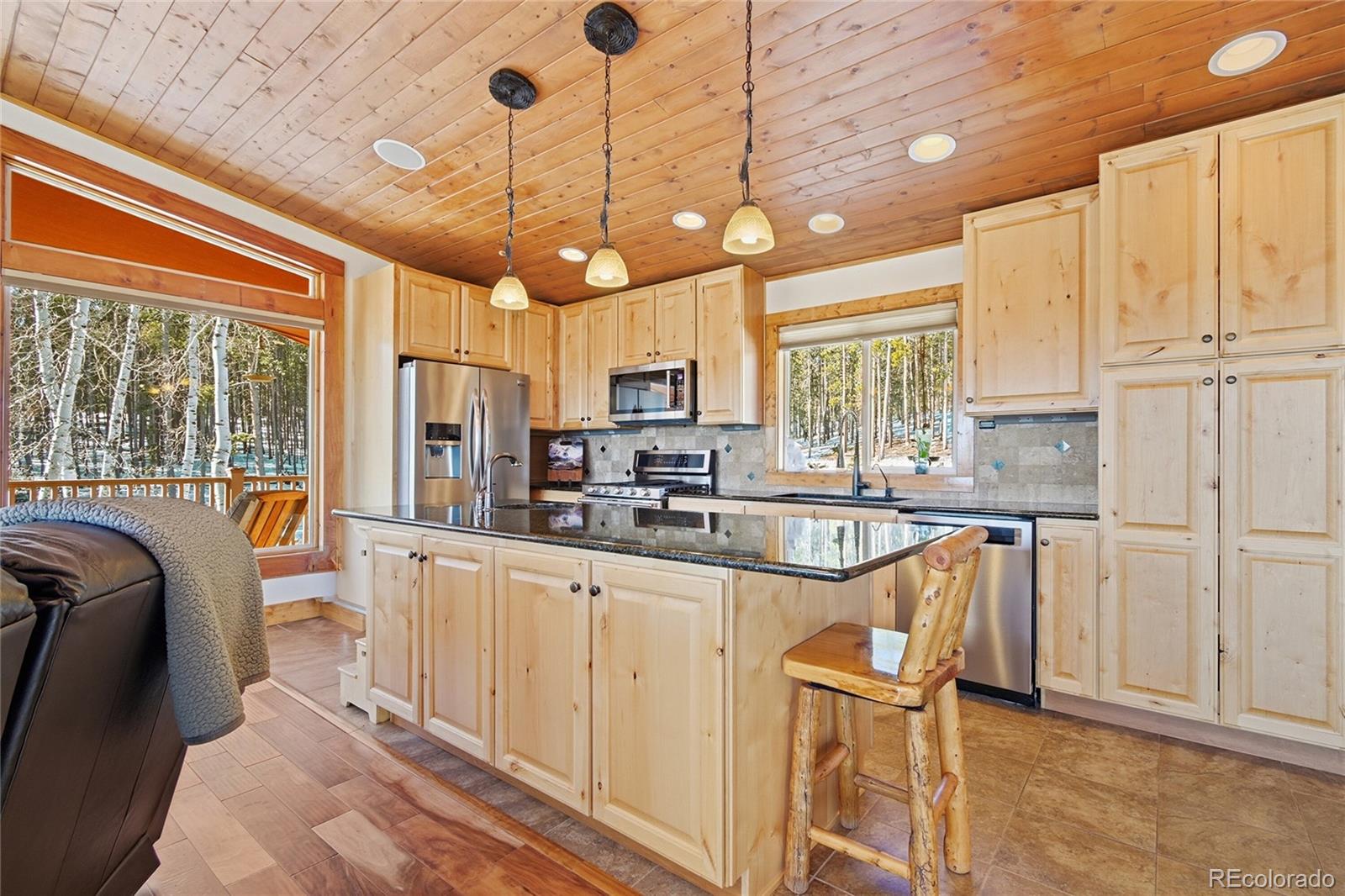 8790 S Warhawk Road Conifer CO 80433