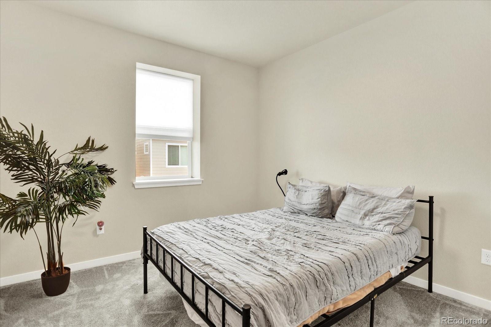 11205 W 53rd Lane Arvada CO 80002