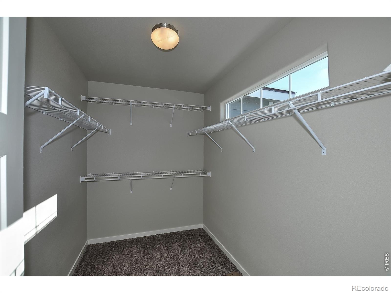 1039 Crown Sparrow Street Johnstown CO 80534