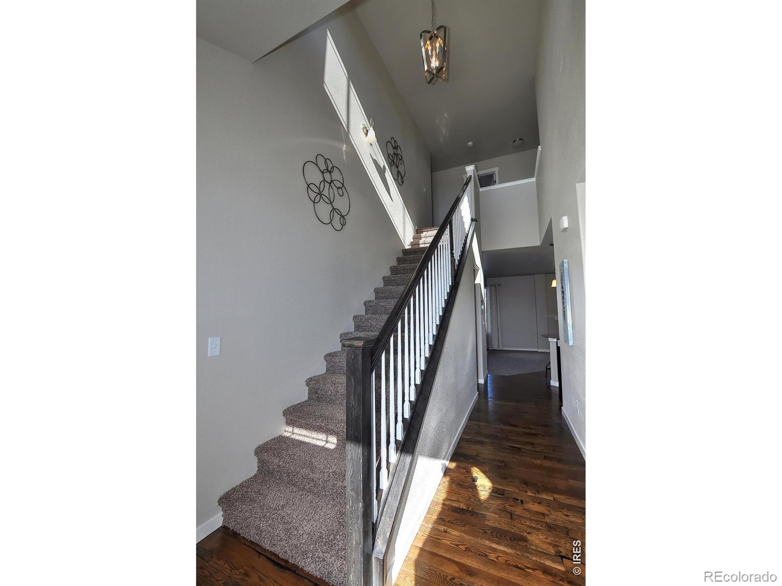 1039 Crown Sparrow Street Johnstown CO 80534