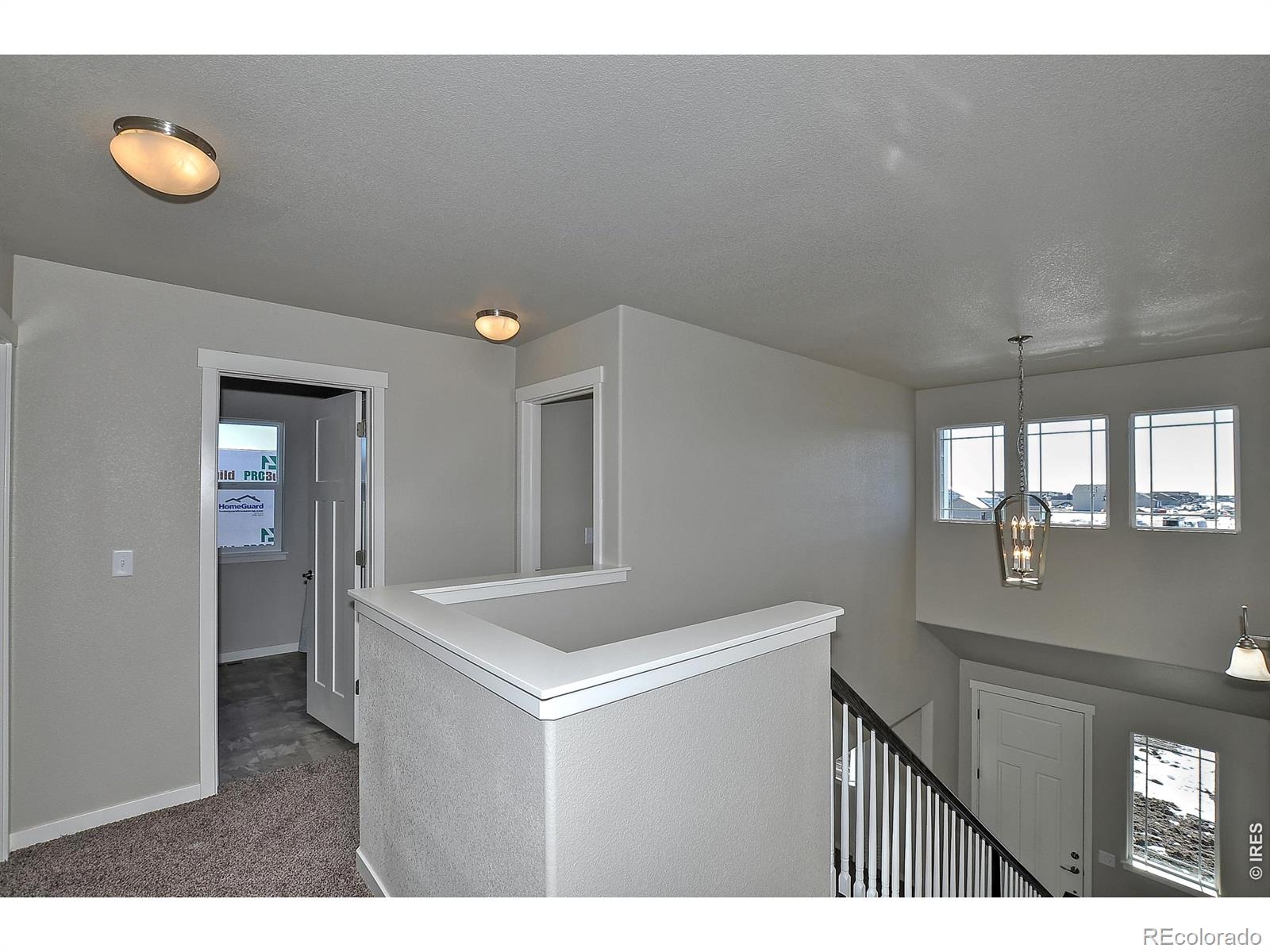 1039 Crown Sparrow Street Johnstown CO 80534