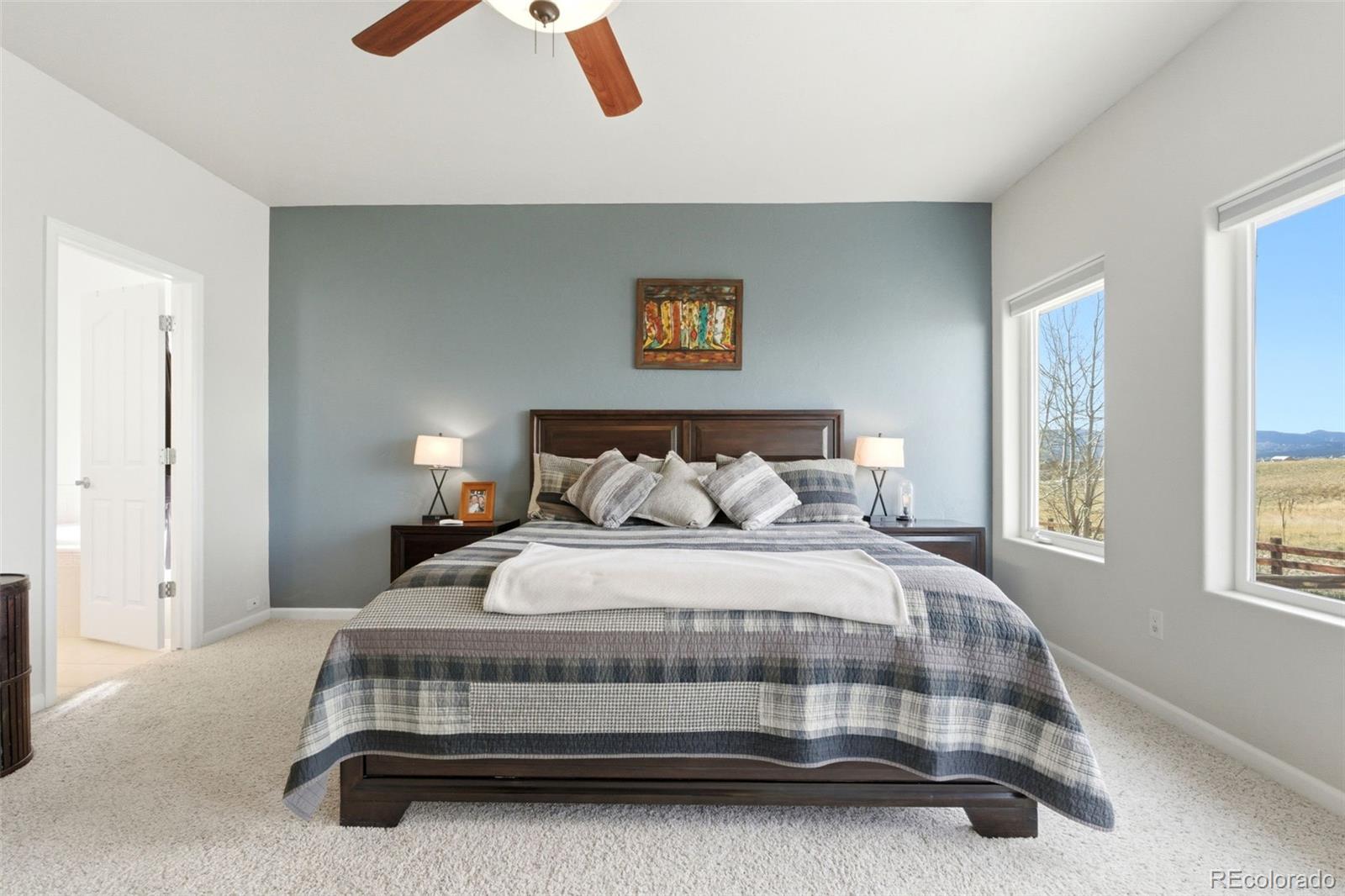 322 Saber Creek Drive Monument CO 80132
