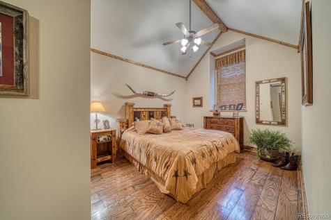 30108 Eagles Ridge Buena Vista CO 81211