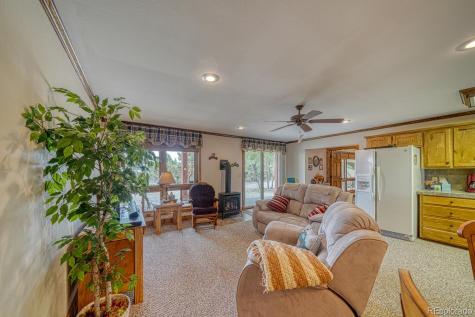 30108 Eagles Ridge Buena Vista CO 81211