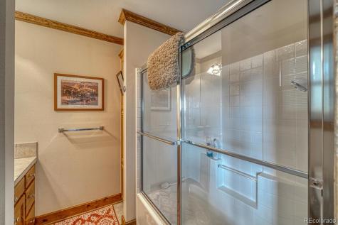 30108 Eagles Ridge Buena Vista CO 81211