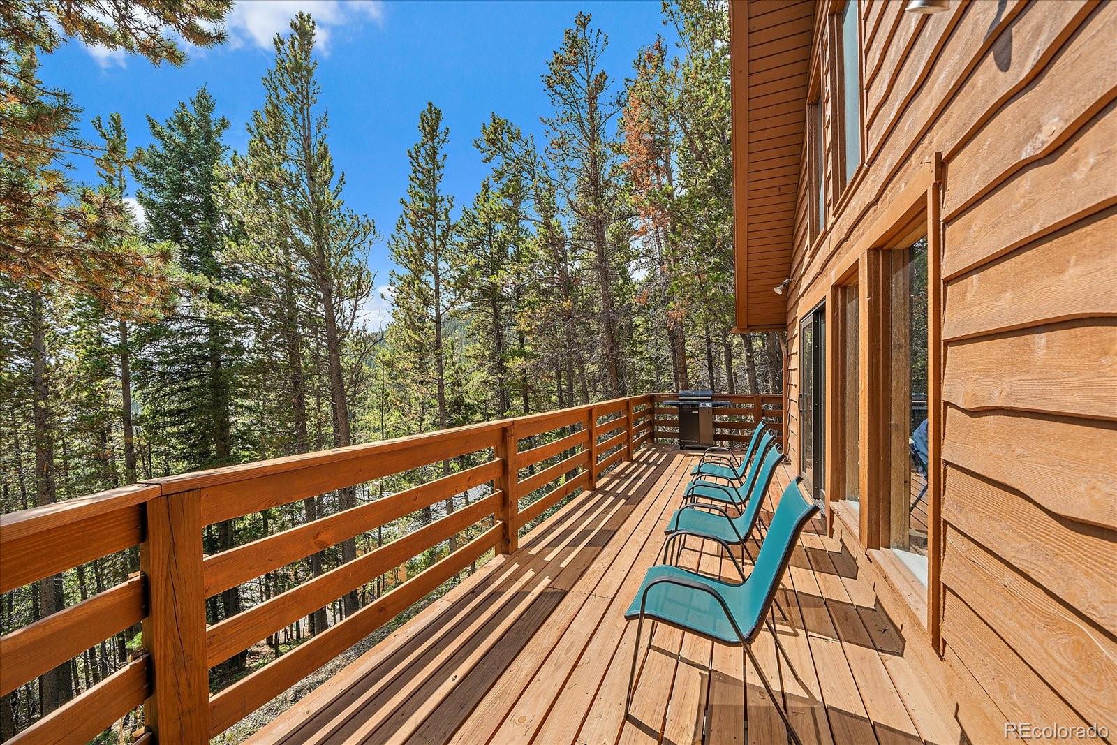 136 Nebraska Drive Idaho Springs CO 80452