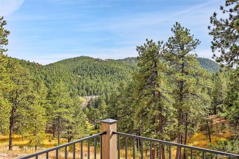 30248 Isenberg Lane Evergreen CO 80439