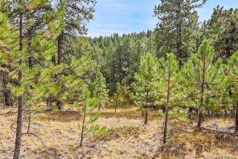 30248 Isenberg Lane Evergreen CO 80439