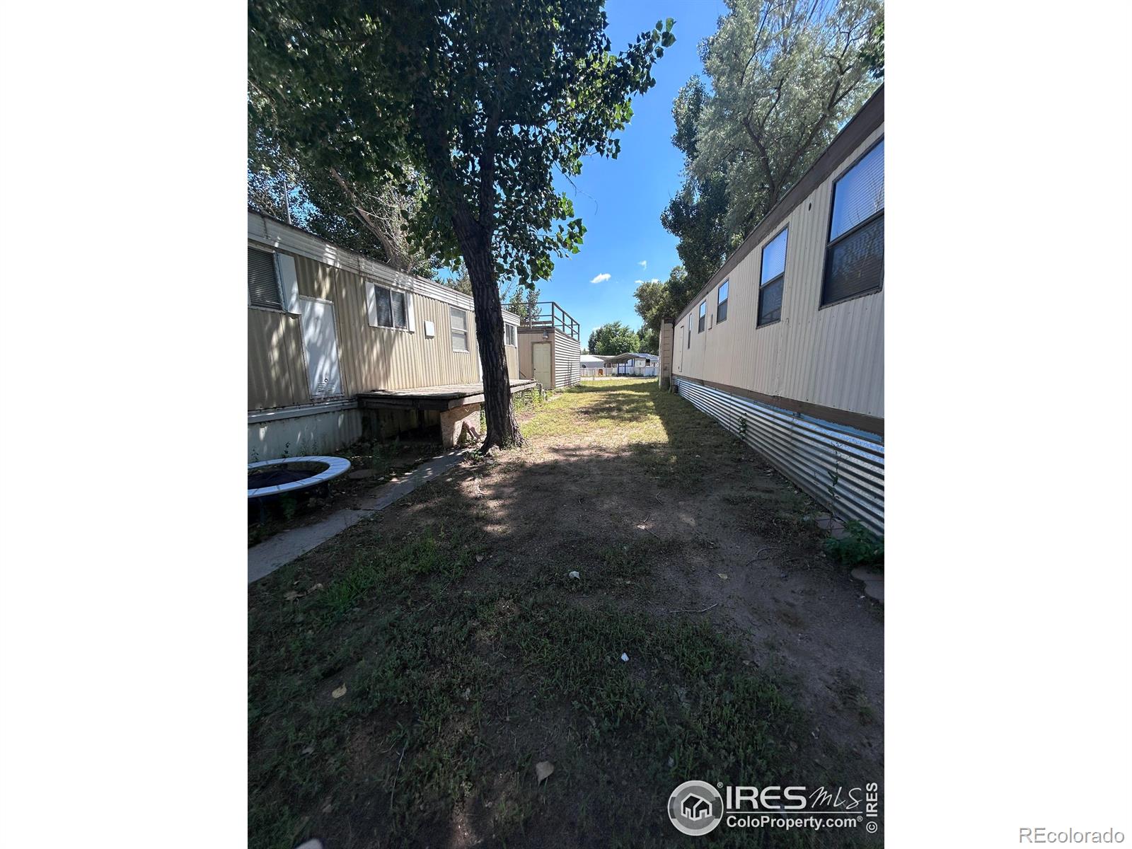 213 Kiowa Road Orchard CO 80649
