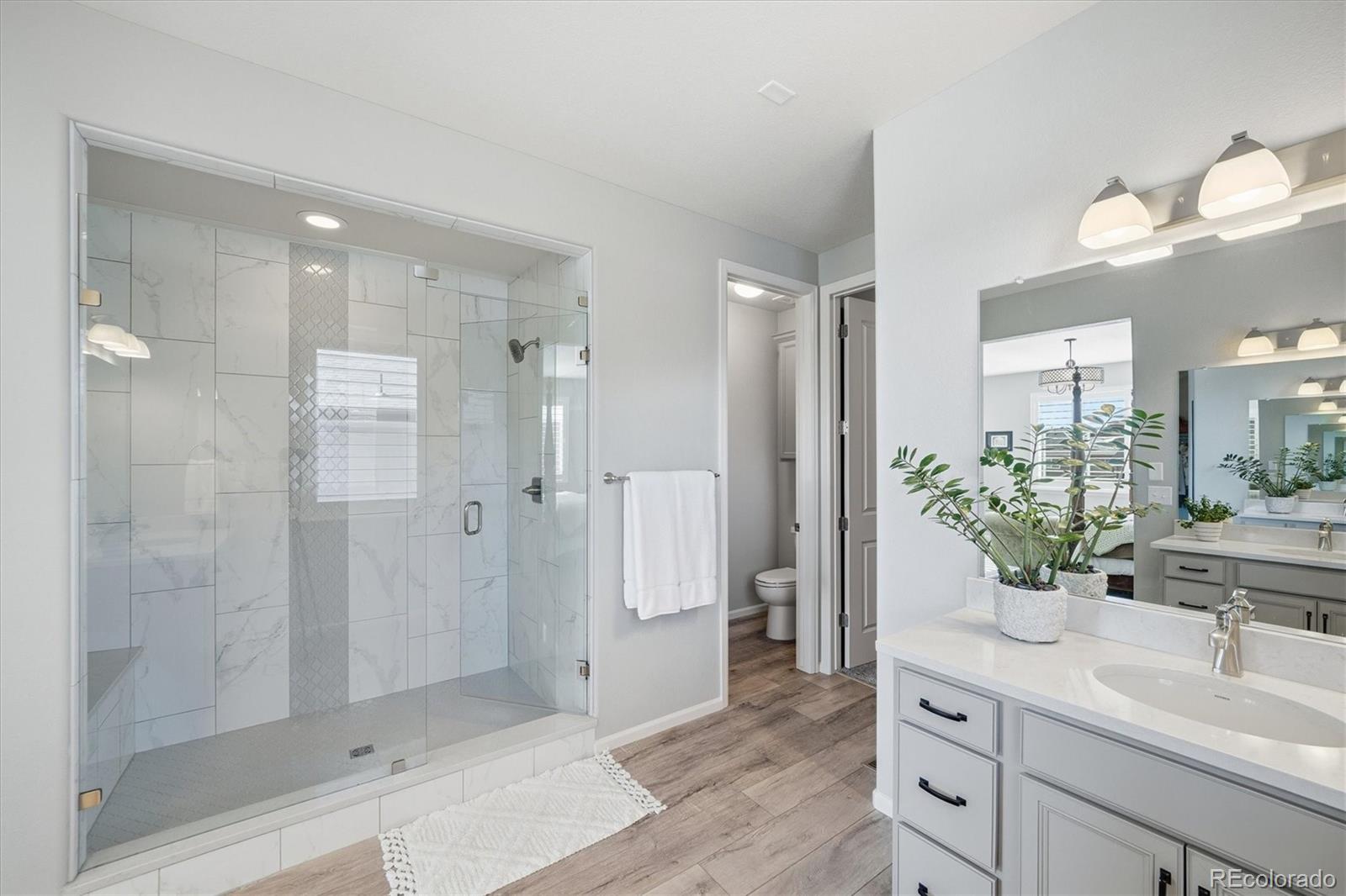 6218 Leilani Drive Castle Rock CO 80108