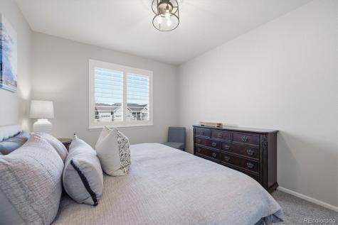 6218 Leilani Drive Castle Rock CO 80108