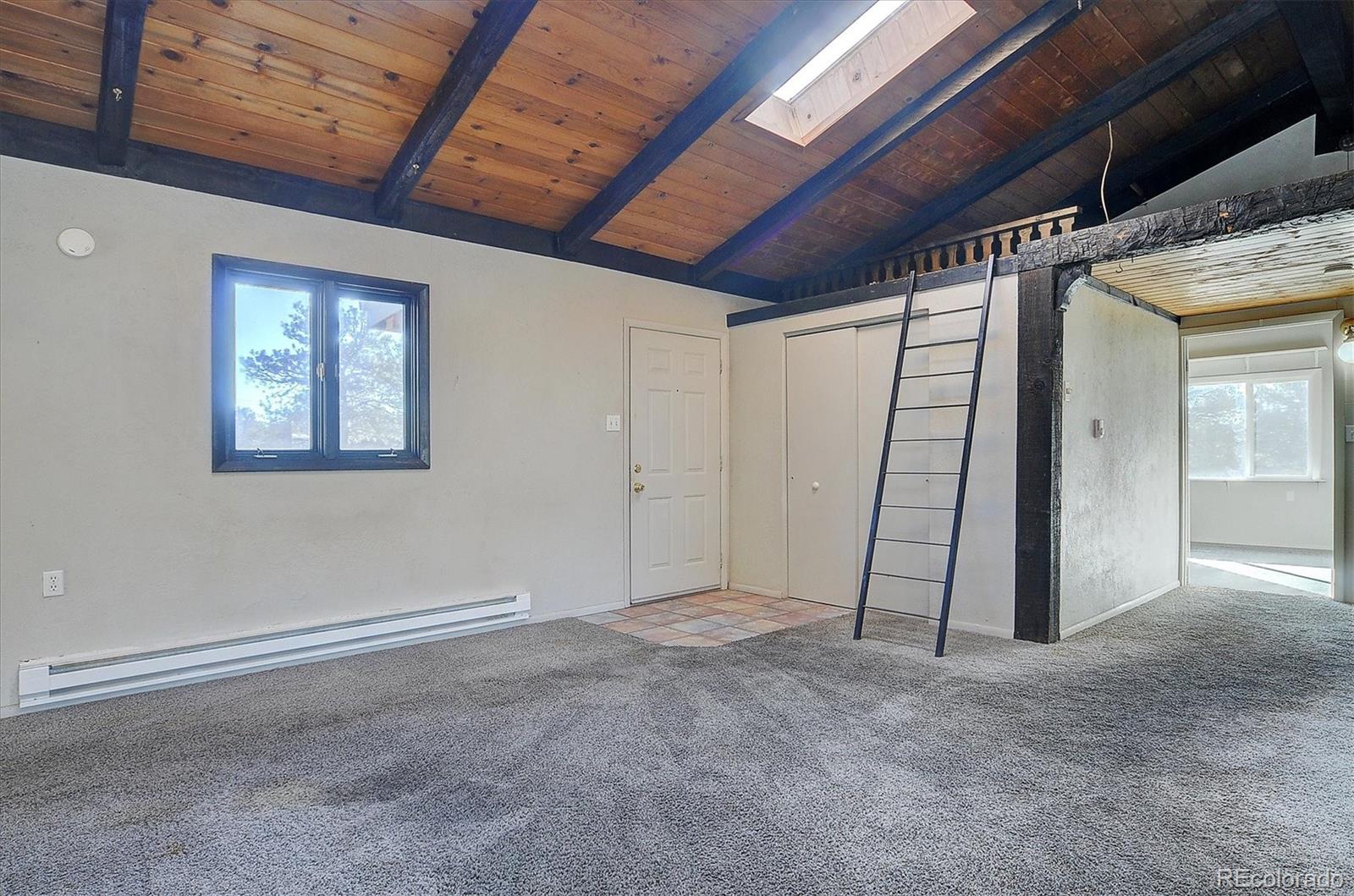 31320 County Road 384 A Buena Vista CO 81211