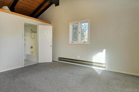 31320 County Road 384 A Buena Vista CO 81211